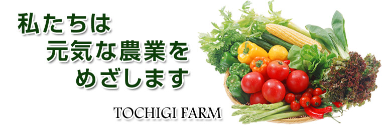 私たちは元気な農業をめざします